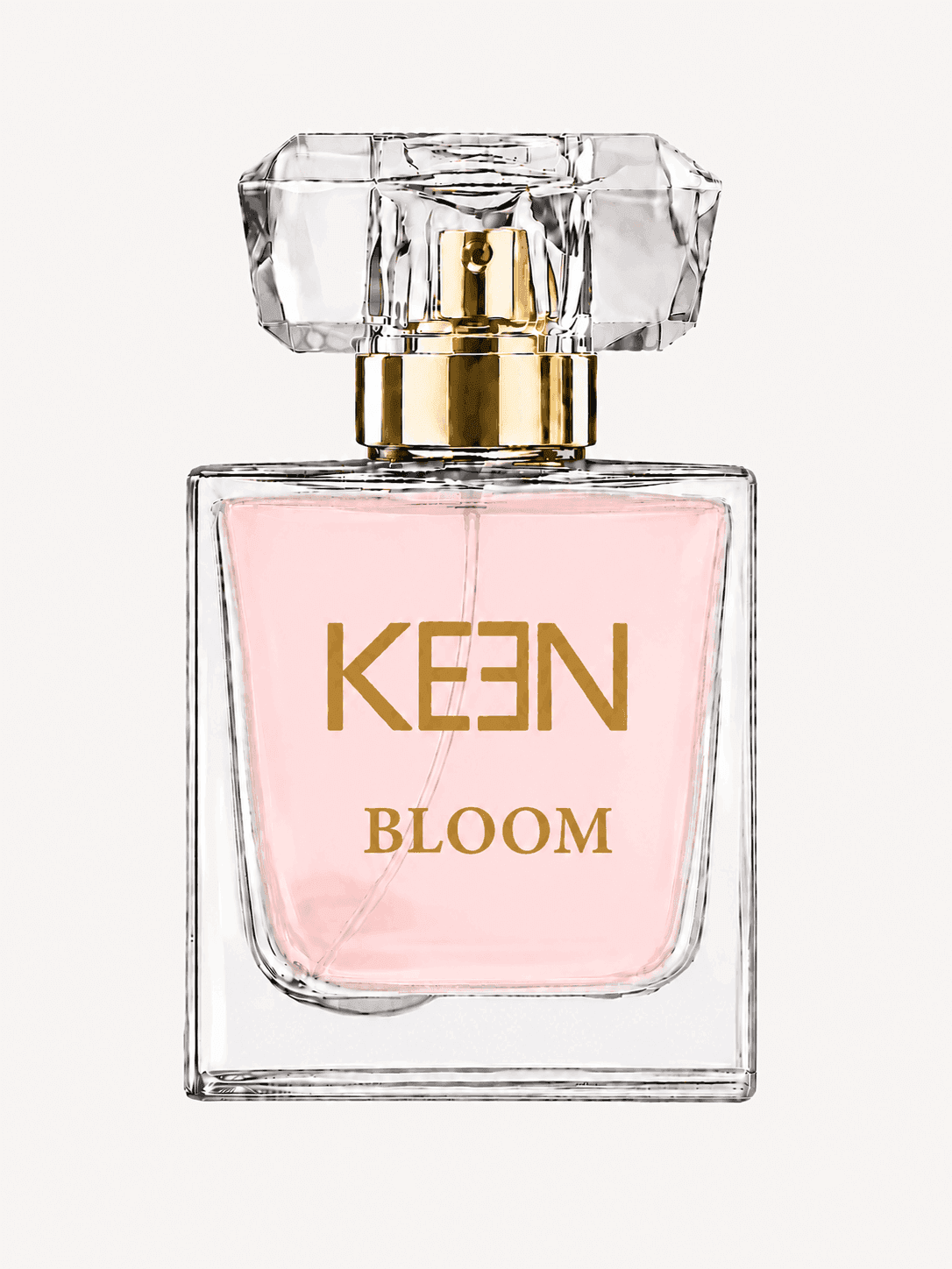 Bloom